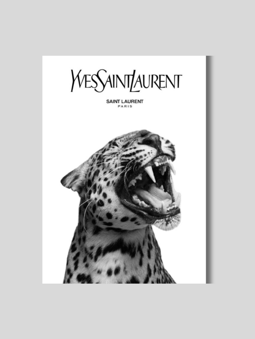 Unleash Your Elegance.